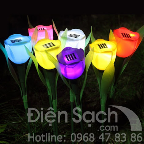 Đèn hoa tulip năng lượng mặt trời